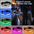 Collar De Nailon Con Luz Led Mascota