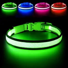 Collar Y Correa Led Para Mascotas