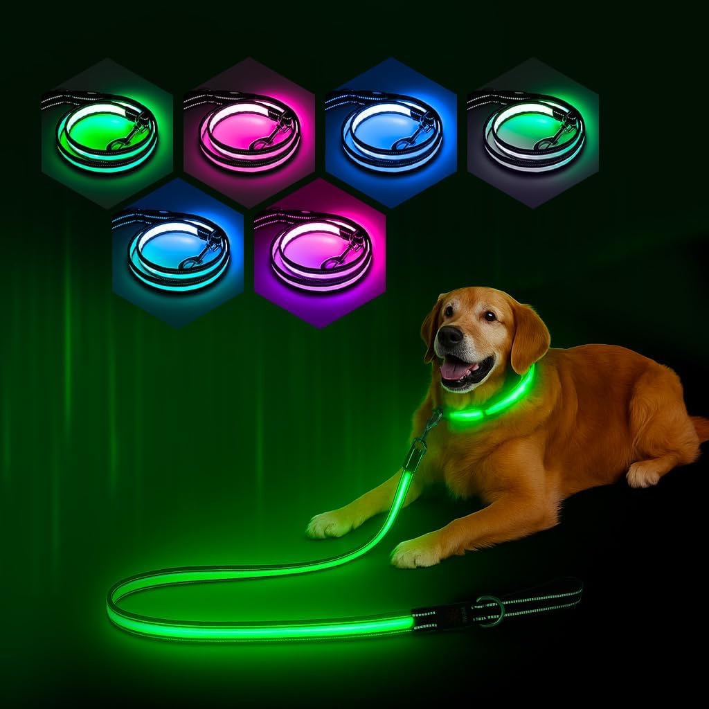 Collar Y Correa Led Para Mascotas